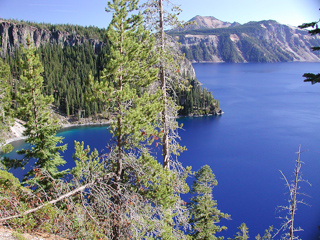 Blue Water, Green Trees, Crater Lake photo
