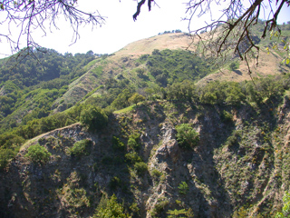 Cliff, Ventana Wilderness photo