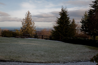 Snow on the Back Lawn, Sequim photo