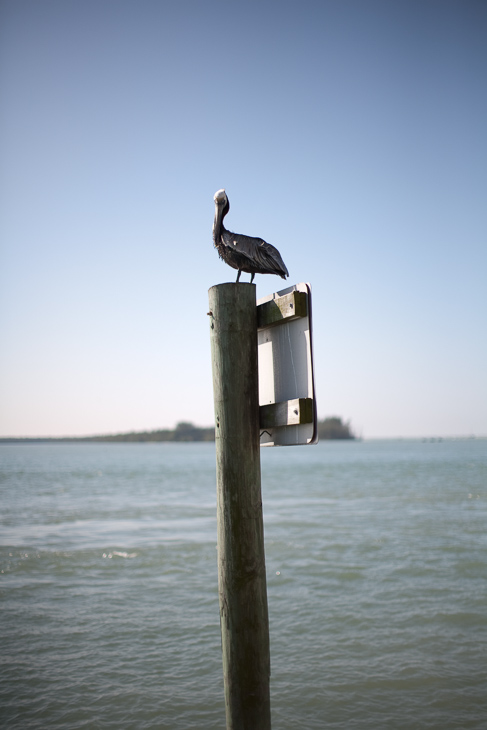 Marco Island photo