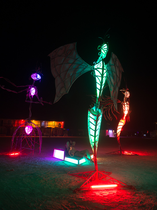 Burning Man photo