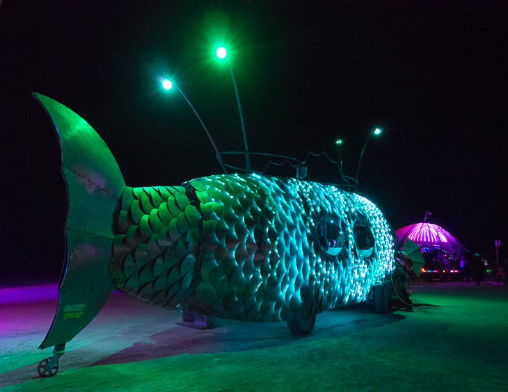 The Pilot Fish, Burning Man photo