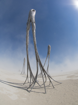 Drifts, Burning Man photo