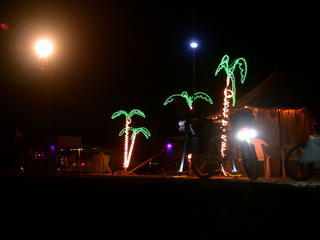 Palm Trees, Ganesh Camp photo