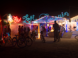 The Lost Penguin, Burning Man photo