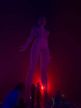 R-Evolution - 2015, Burning Man photo