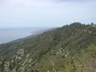 Coast Ridge Road, Ventana Wilderness photo