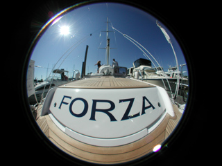 The Forza, The Forza photo