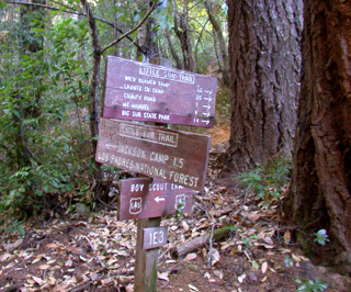 Forest Service Trailhead, Pico Blanco photo
