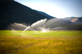 Watering the Field, Montana photo