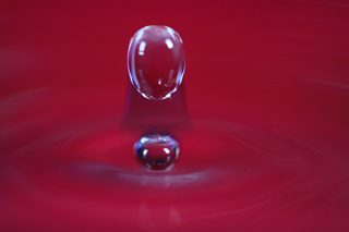 Red Splash Drop, Water Drop Falling II photo