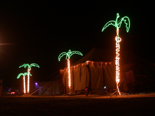 Ganesh Palm Trees, Ganesh Camp photo