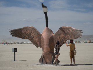 Penny the Goose, Burning Man photo