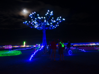 TrEeD, Burning Man photo