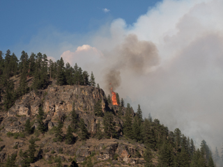 Crown Fire on The Stage, Goat Creek Fire photo