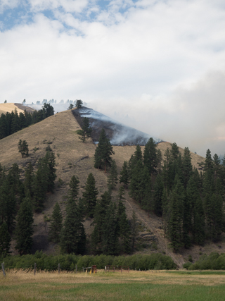 Fire Handline and Back-burn on Babcock Mountain, Goat Creek Fire photo