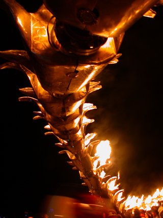 The Serpent - 2006, Burning Man photo