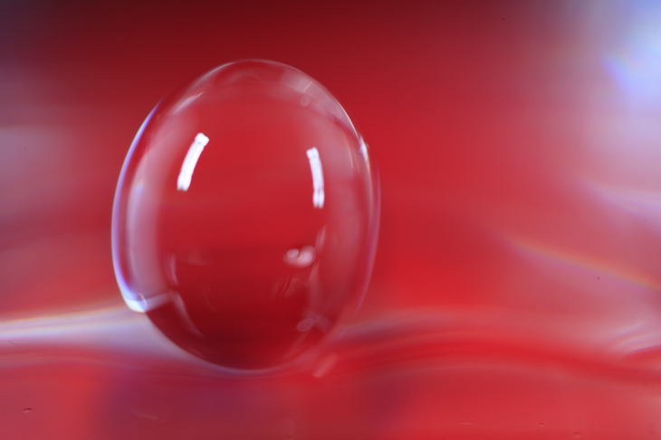 Red Egg Drop, Water Drop Falling photo